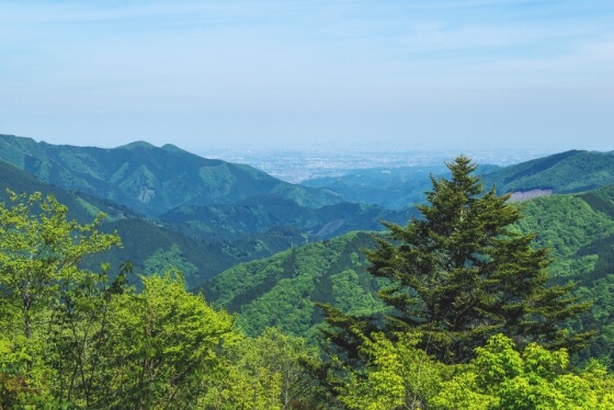 森をつなぐ、東京プロジェクトのイメージ画像