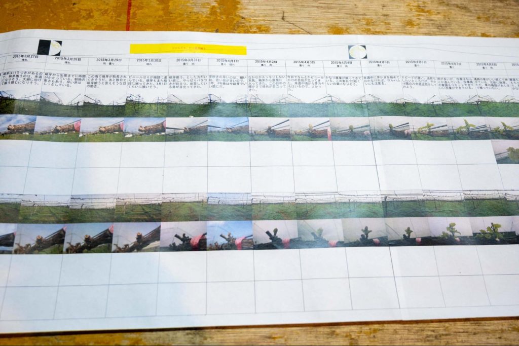 赤尾さんが残してきたブドウ栽培の記録