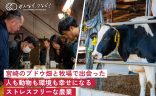 宮崎のブドウ畑と牧場で出会った 人も動物も環境も幸せになる、ストレスフリーな農業の画像