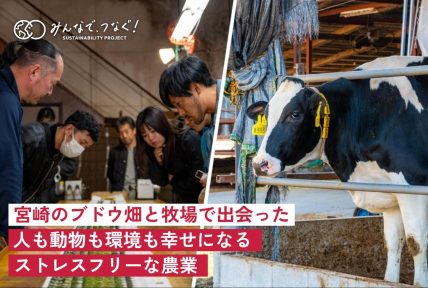 最新BLOG記事を公開しました。の画像