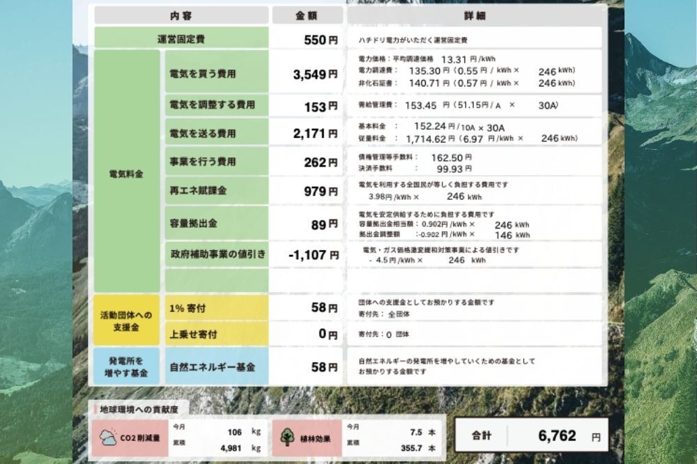 ハチドリ電力の明細