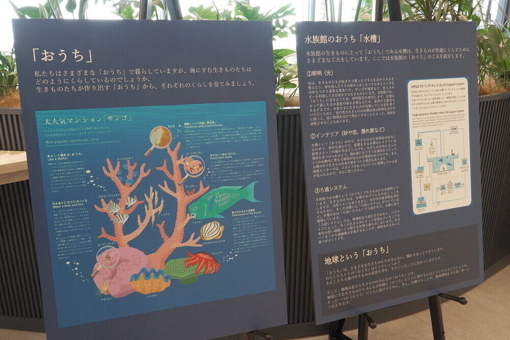 マクセルアクアパーク品川による生態系の仕組みを学べるパネル展示